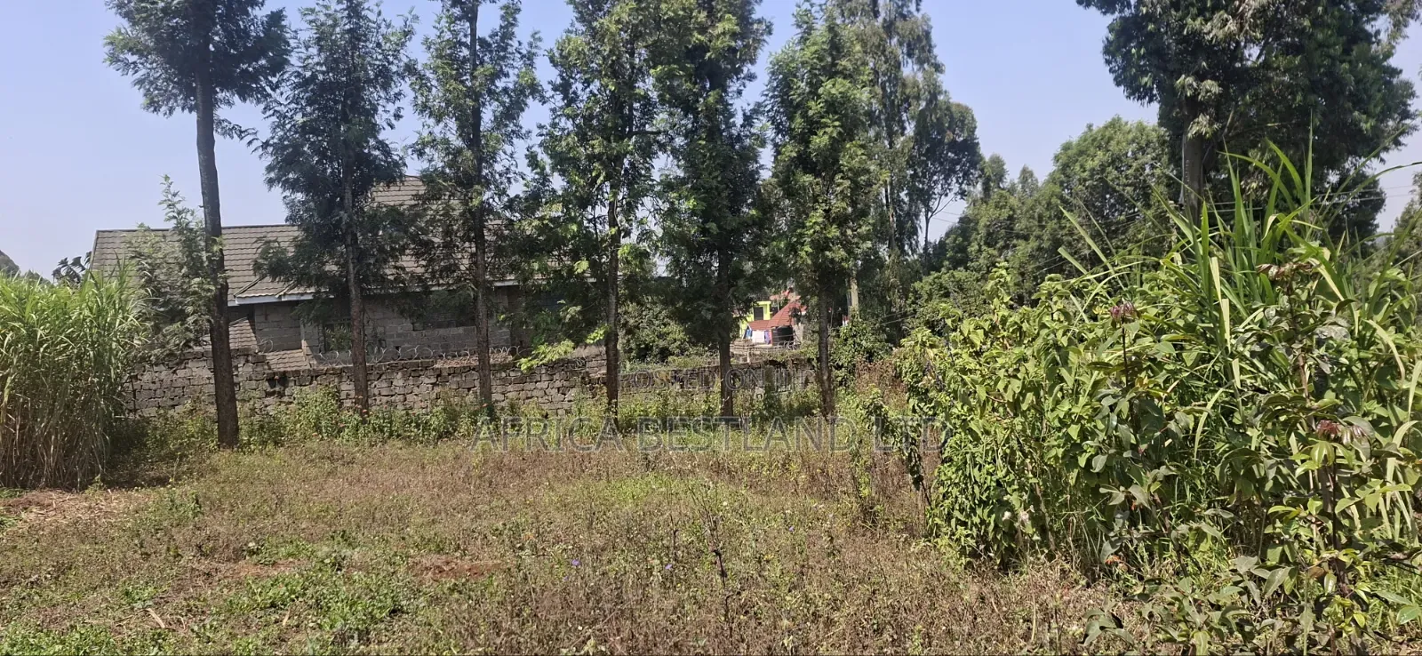 1⁄2 Acre Land for Sale – Kikuyu Thamanda, Muguga |
