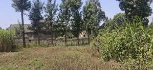 1⁄2 Acre Land for Sale – Kikuyu Thamanda, Muguga |