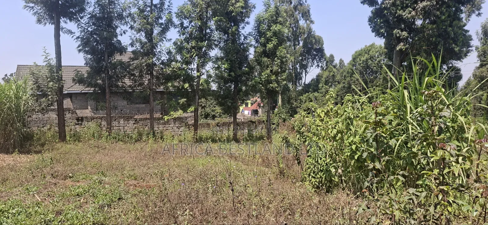 1⁄2 Acre Land for Sale – Kikuyu Thamanda, Muguga |