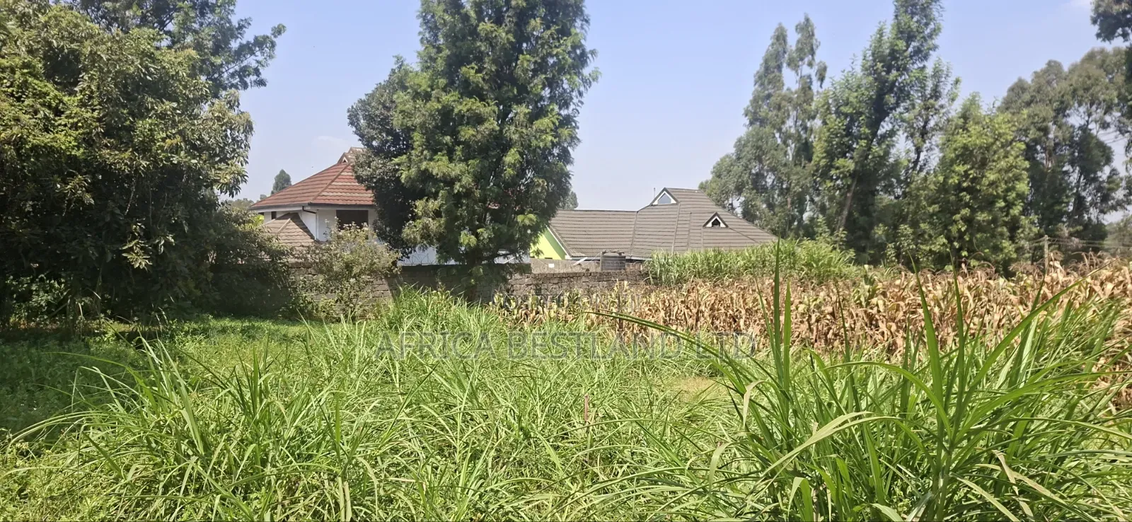 1⁄2 Acre Land for Sale – Kikuyu Thamanda, Muguga |