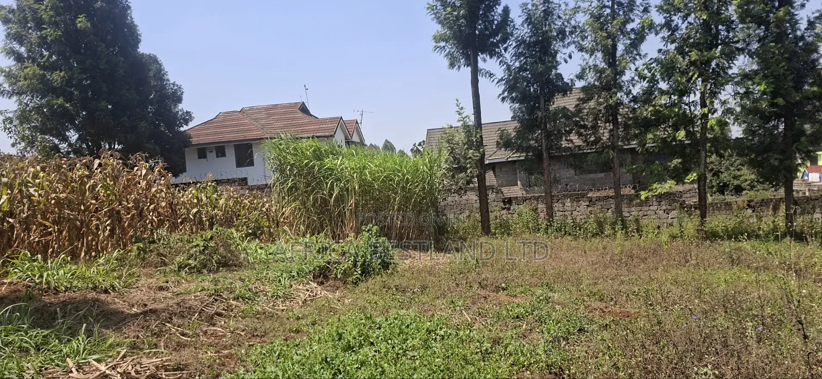 1⁄2 Acre Land for Sale – Kikuyu Thamanda, Muguga |