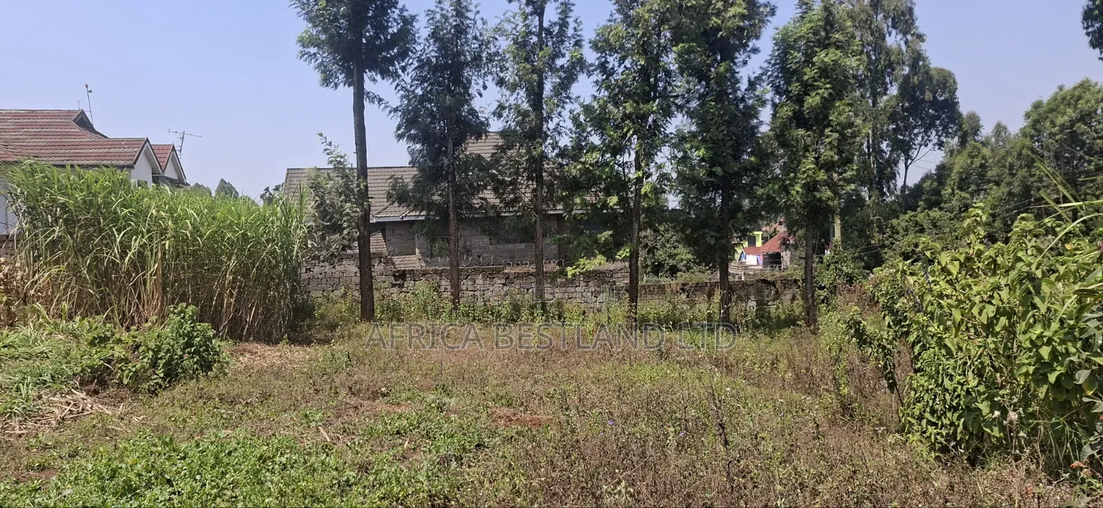 1⁄2 Acre Land for Sale – Kikuyu Thamanda, Muguga |
