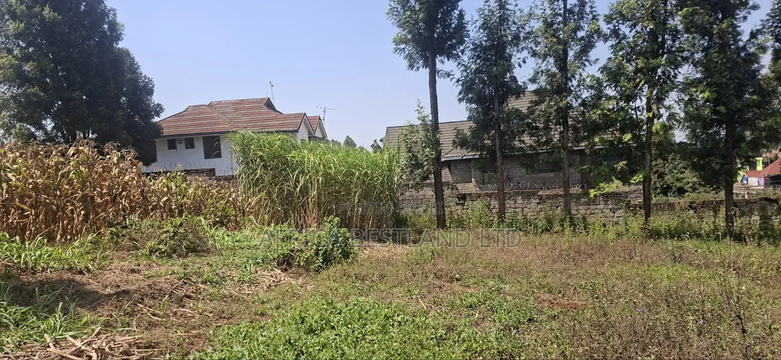 1⁄2 Acre Land for Sale – Kikuyu Thamanda, Muguga |