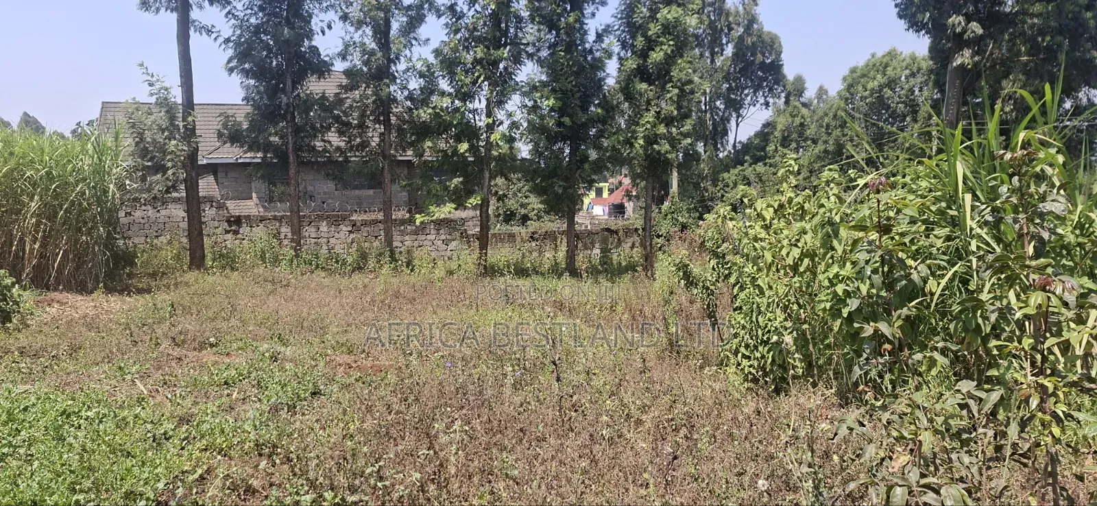 1⁄2 Acre Land for Sale – Kikuyu Thamanda, Muguga |