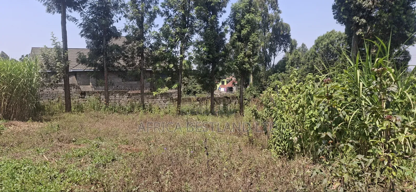 1⁄2 Acre Land for Sale – Kikuyu Thamanda, Muguga |
