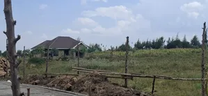 50×100 Residential Plots for Sale – Langa Langa, Gilgil |