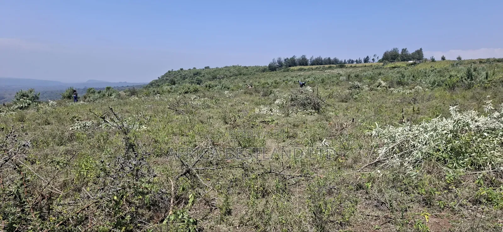 50×100 Residential Plots for Sale – Langa Langa, Gilgil |