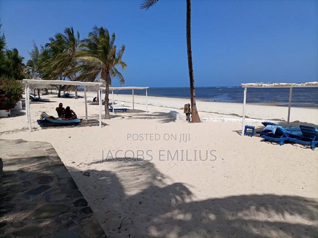 Beach Front Studios, Happy Site, Malindi