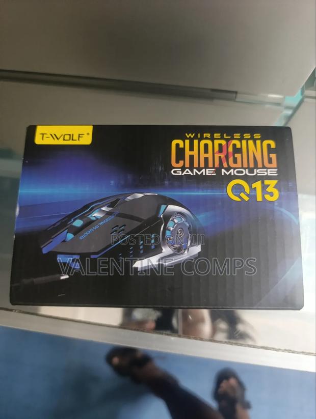 Game Mouse Q13