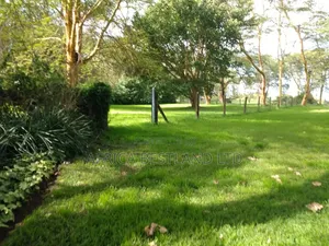 Acres for Sale – Lake Naivasha | KSH 300m