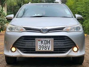Toyota Corolla Fielder 2017 Silver