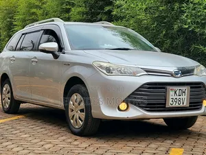 Toyota Corolla Fielder 2017 Silver