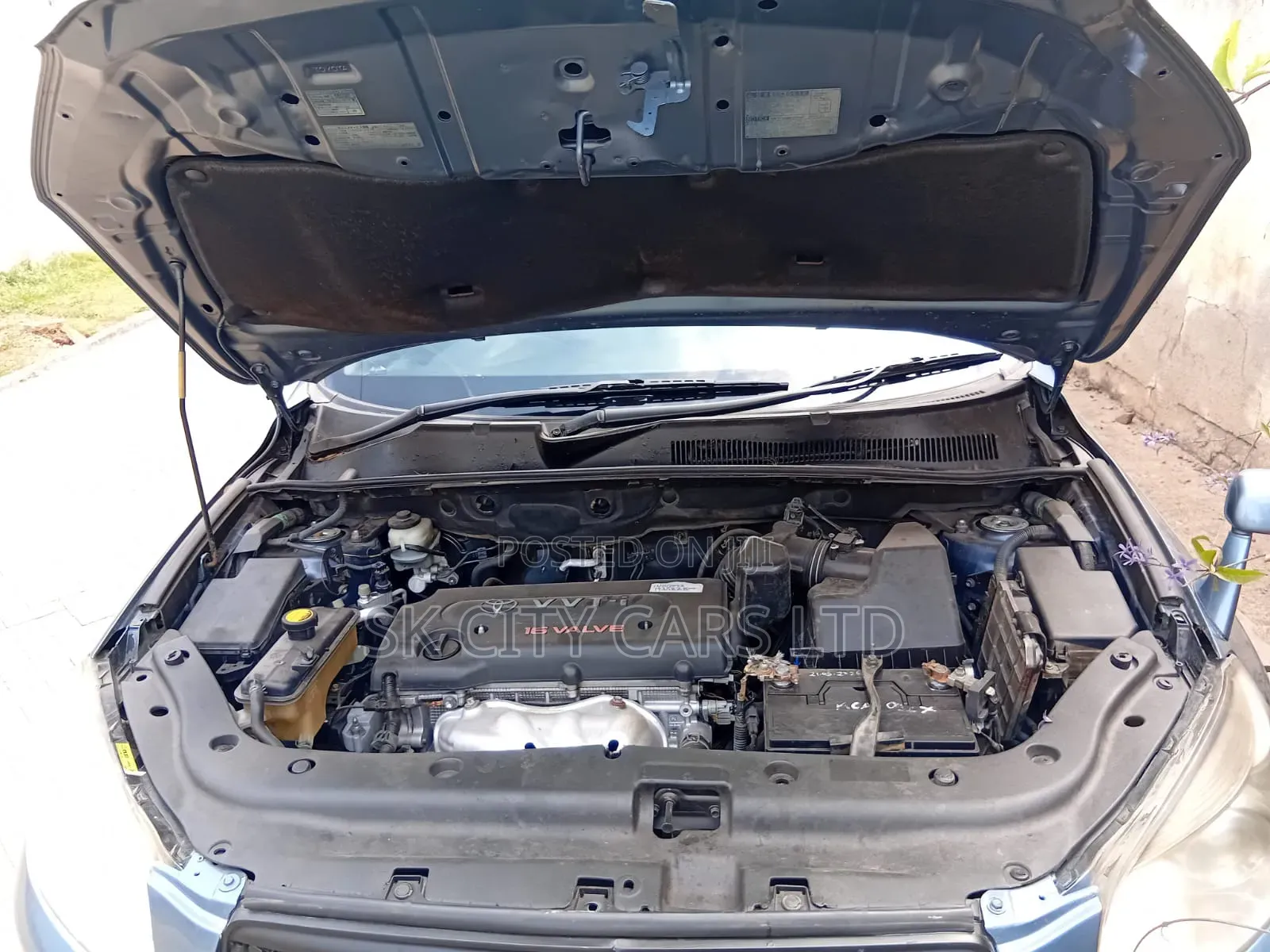 Toyota RAV4 2008 Blue