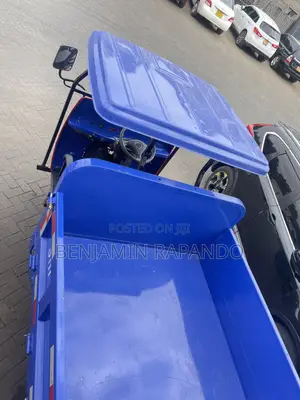 Cargo Trycycle Tipper Tuktuk