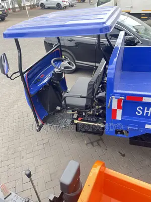 Cargo Trycycle Tipper Tuktuk