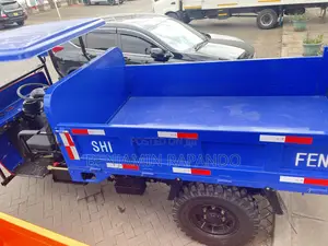 Cargo Trycycle Tipper Tuktuk
