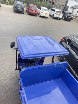 Cargo Trycycle Tipper Tuktuk