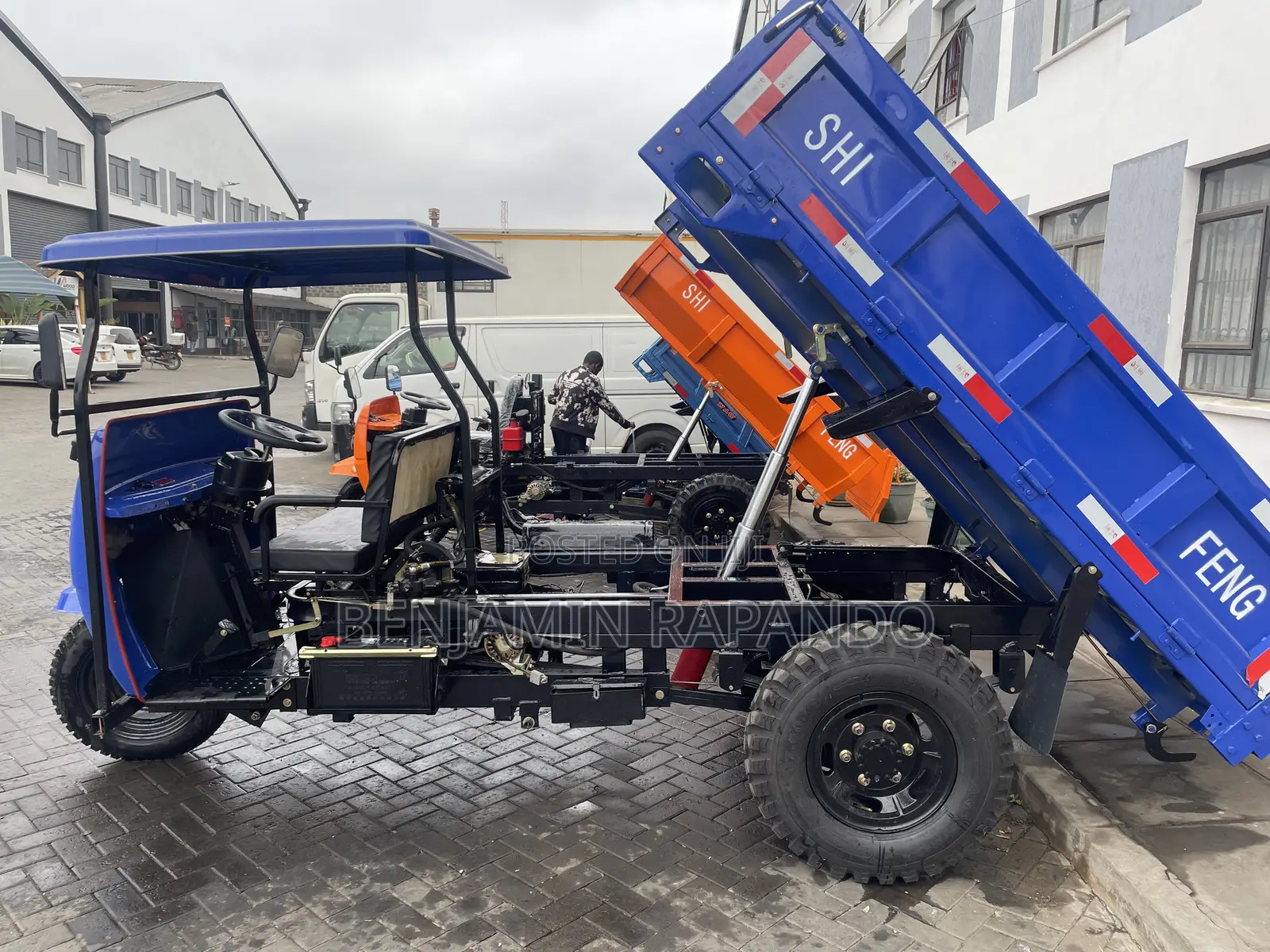 Cargo Trycycle Tipper Tuktuk