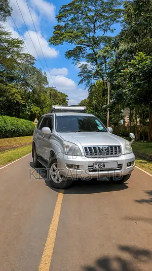 Toyota Land Cruiser 3.0 D-4D C 2006 Silver