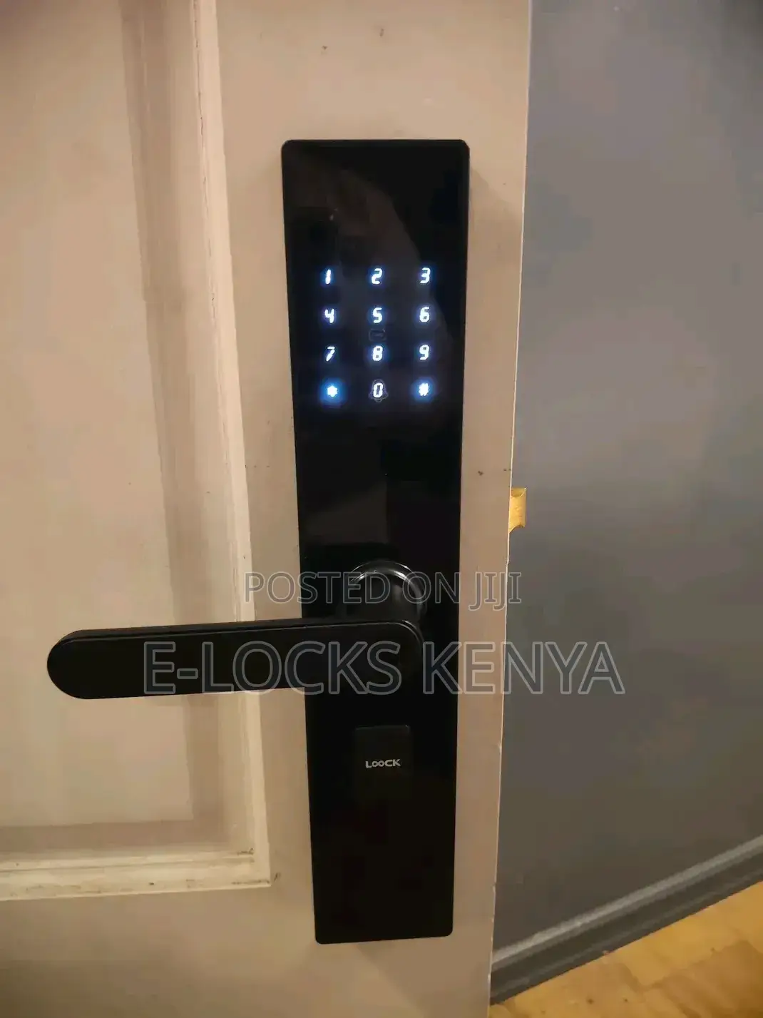 Smart Locks Smart Kenya Living Door Lock