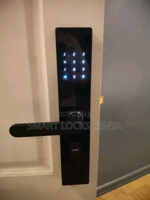 Smart Locks Smart Kenya Living Door Lock