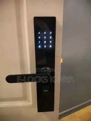 Smart Locks Smart Kenya Living Door Lock