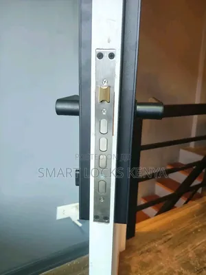Smart Locks Smart Kenya Living Door Lock