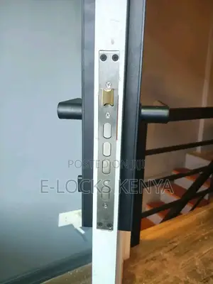 Smart Locks Smart Kenya Living Door Lock