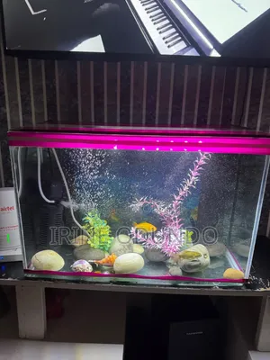 Aquarium 30 Litres