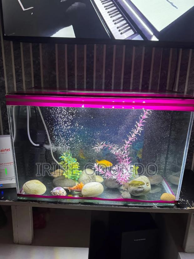 Aquarium 30 Litres