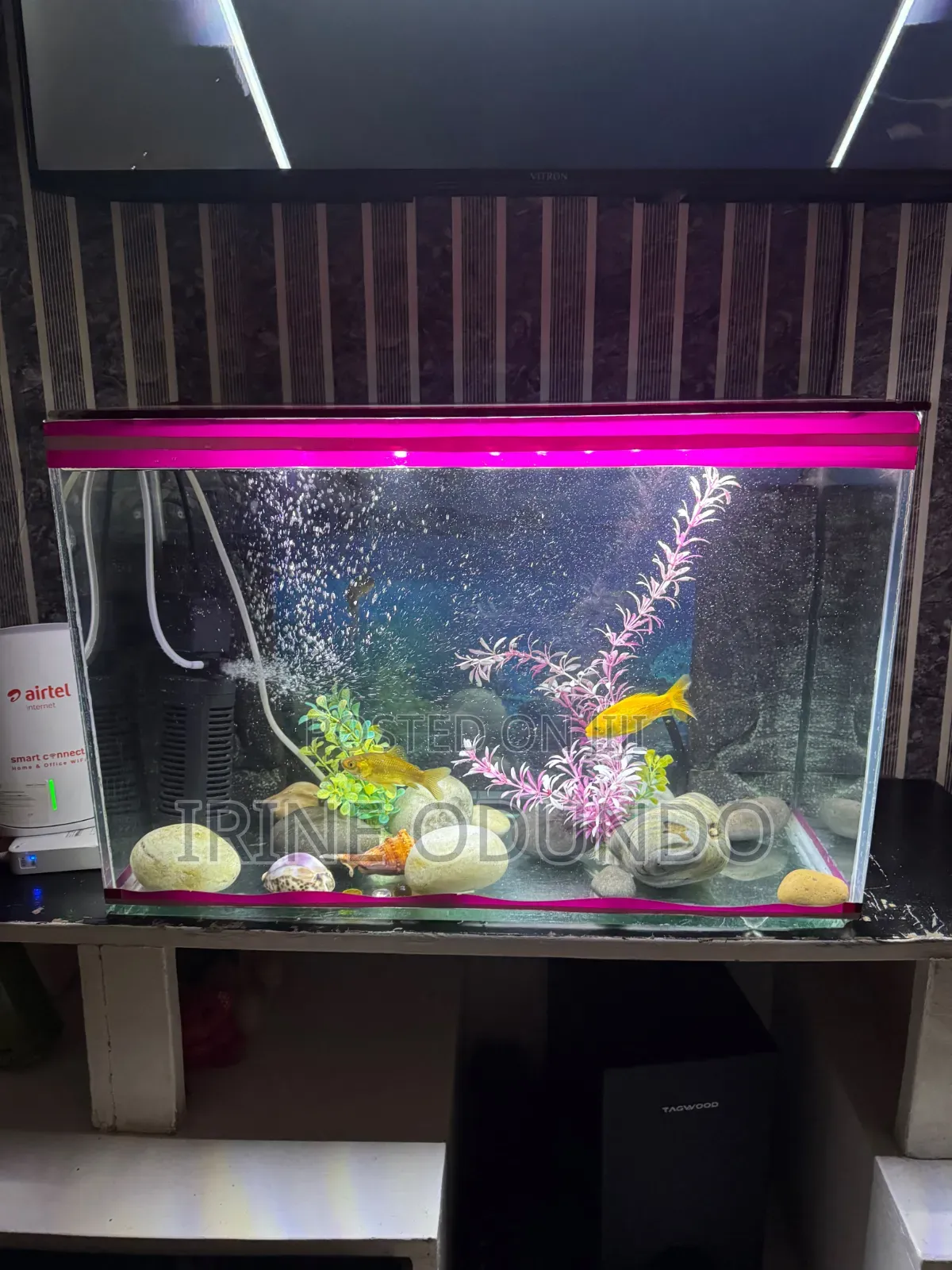 Aquarium 30 Litres