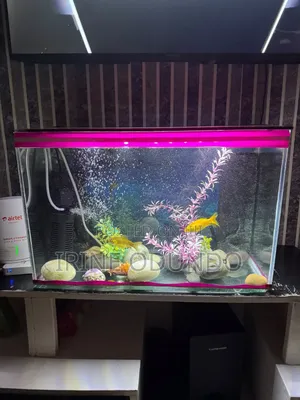 Aquarium 30 Litres