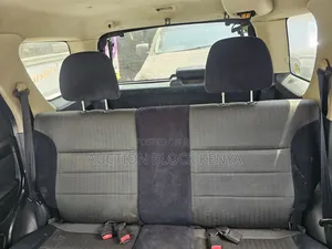 Ford Escape 2010 Black
