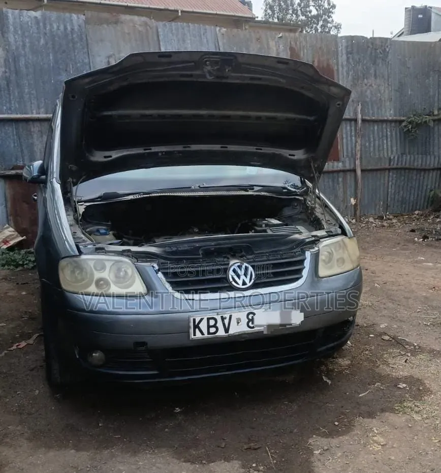 Volkswagen Touran 2003 Gray