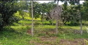 Land for Sell