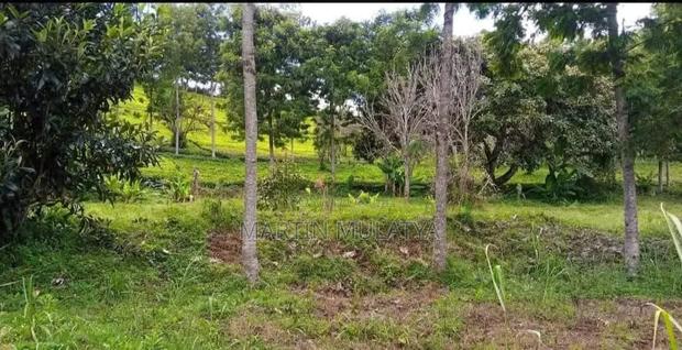 Land for Sell