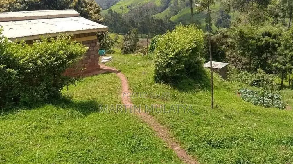 Land for Sell