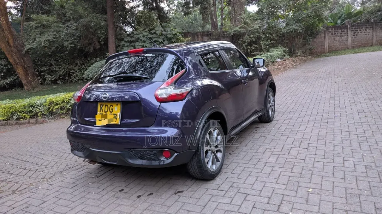 Nissan Juke 2014 Blue