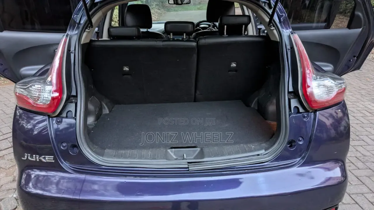 Nissan Juke 2014 Blue