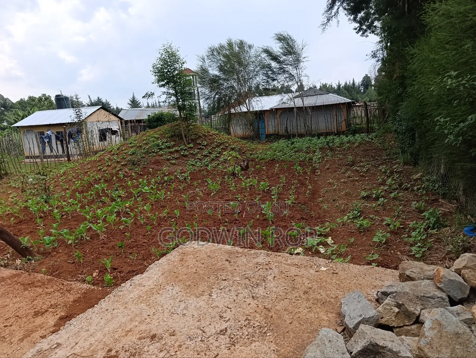 3bdrm House in Kapteldon, Simat for sale
