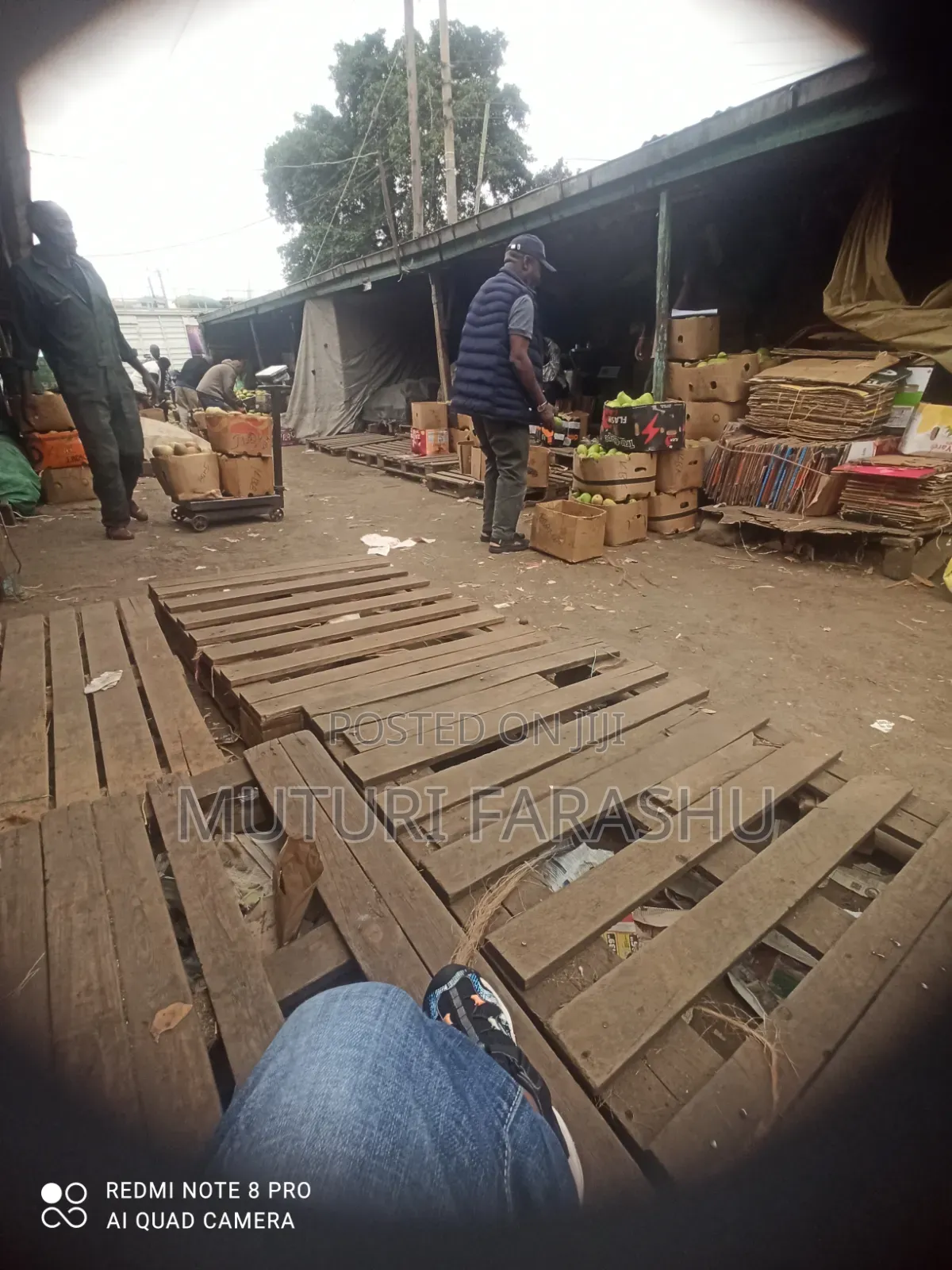 Mangoes (Apple, Ngoe, Tommy Vandike)