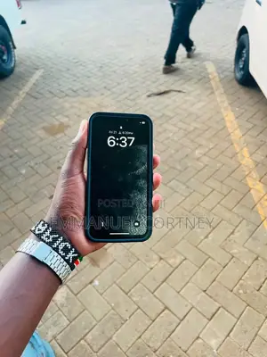 Apple iPhone 13 Pro Max 256 GB Graphite