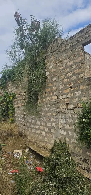 KASHANI Plots