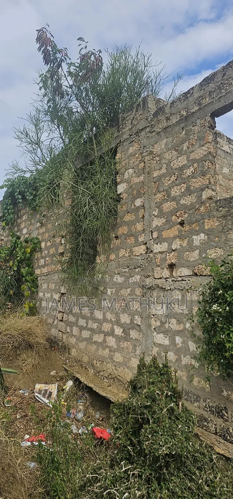 KASHANI Plots