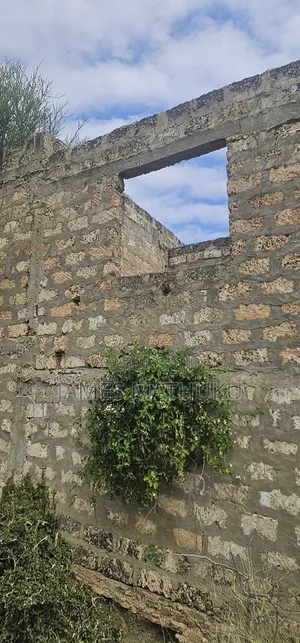 KASHANI Plots