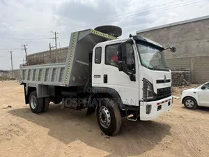 Howo M3-4*2 Tipper