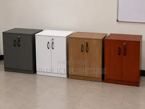 Lockable 2 Door Storage Cabinet