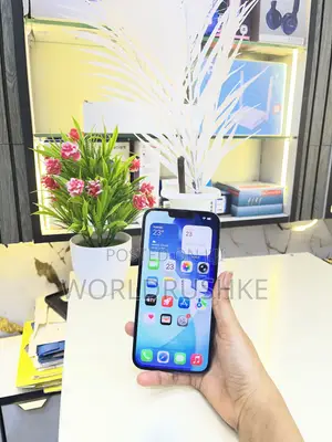 Apple iPhone 13 Pro Max 256 GB Blue