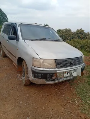 Toyota Probox 2005 Silver