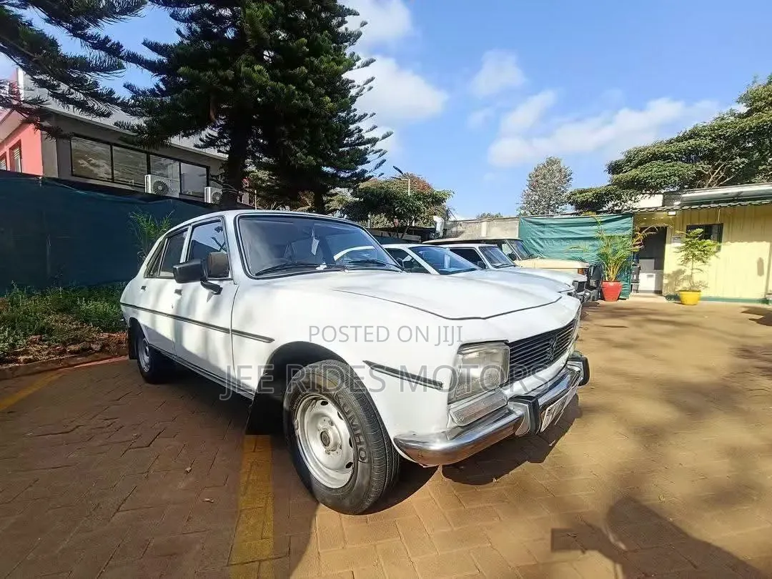 Peugeot 504 1997 White